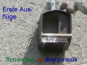 Copyright AiS / Köhler Bild zum Eintrag (29314-160)