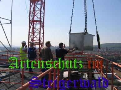 Copyright AiS / Köhler Bild zum Eintrag (29333-160)