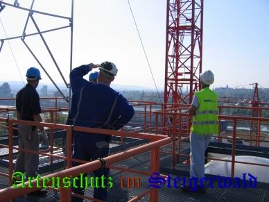 Copyright AiS / Köhler Bild zum Eintrag (29334-160)