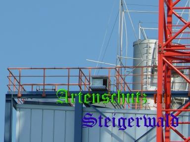 Copyright AiS / Köhler Bild zum Eintrag (29338-160)