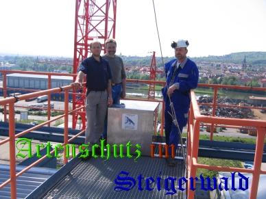 Copyright AiS / Köhler Bild zum Eintrag (29339-160)