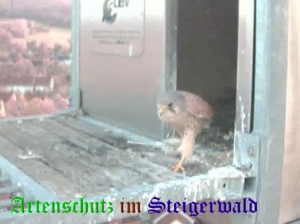 Copyright AiS / Wörner Bild zum Eintrag (29340-160)