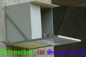 Copyright AiS / Nico Schraut Bild zum Eintrag (29343-160)