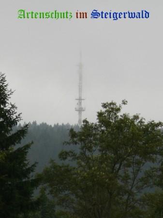 Copyright AiS / Weidner B. Bild zum Eintrag (29407-160)