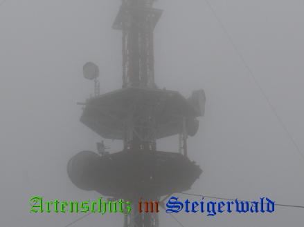Copyright AiS / Köhler Bild zum Eintrag (29408-160)