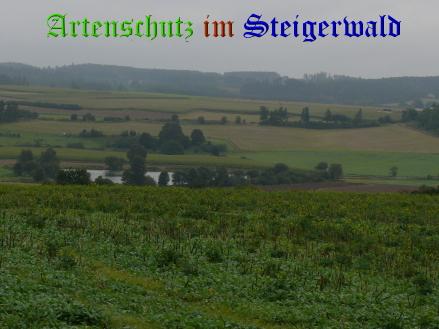 Bild zum Eintrag (29420-160)