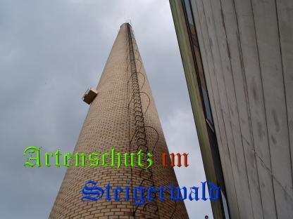 Copyright AiS / TBA Th. Schuster Bild zum Eintrag (29424-160)