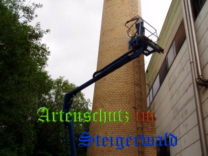 Copyright AiS / TBA Th. Schuster Bild zum Eintrag (29427-160)