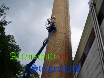 Copyright AiS / TBA Th. Schuster Bild zum Eintrag (29428-160)