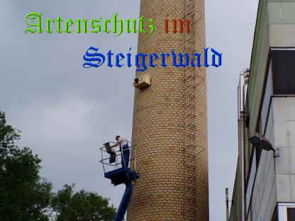 Copyright AiS / TBA Th. Schuster Bild zum Eintrag (29429-160)