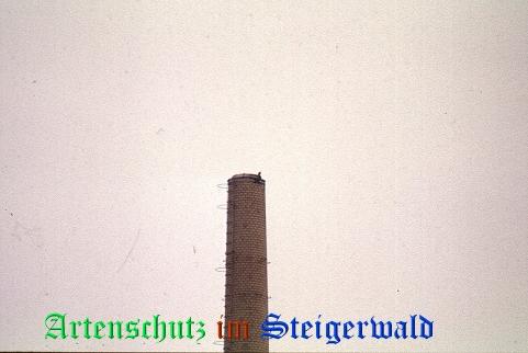 Copyright AiS / TBA Th. Schuster Bild zum Eintrag (29430-160)