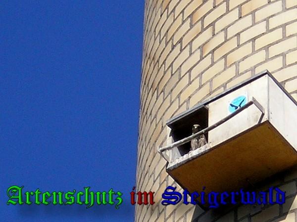 Copyright AiS / 2010 TBN Bild zum Eintrag (29442-160)