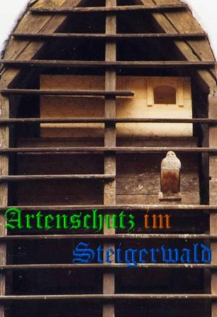 Copyright AiS / Weidner Bild zum Eintrag (29446-160)