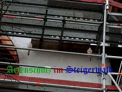 Copyright AiS / Rauh Bild zum Eintrag (29454-160)