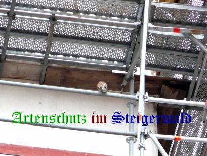 Copyright AiS / Rauh Bild zum Eintrag (29455-160)