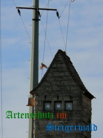 Copyright AiS / Weidner Bild zum Eintrag (29484-160)