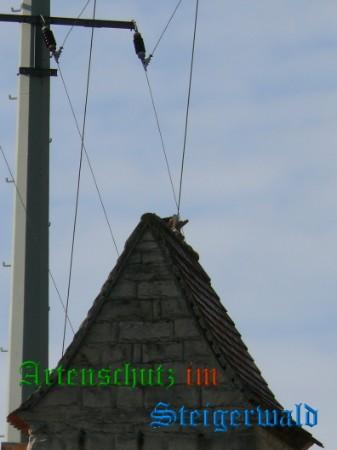 Copyright AiS / Weidner Bild zum Eintrag (29485-160)