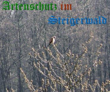 Copyright AiS / Weidner Bild zum Eintrag (29487-160)