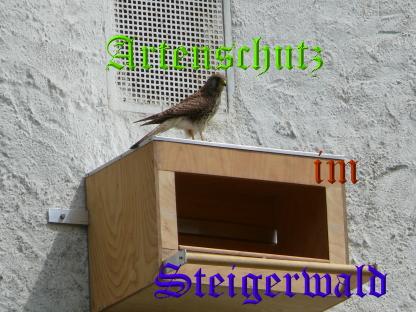 Copyright AiS / Köhler M. Bild zum Eintrag (29490-160)