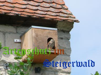 Copyright AiS / Weidner Bild zum Eintrag (29492-160)