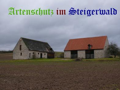 Copyright AiS / Köhler Bild zum Eintrag (29499-160)