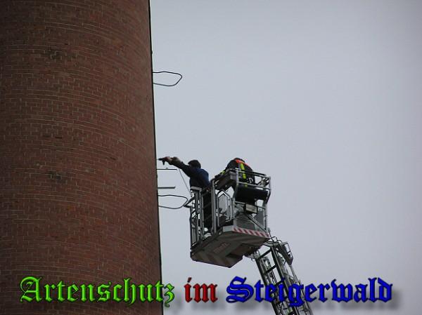 Copyright AiS / 2009 Kunze Bild zum Eintrag (29560-160)