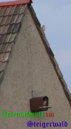 Copyright AiS / Weidner Bild zum Eintrag (29576-160)