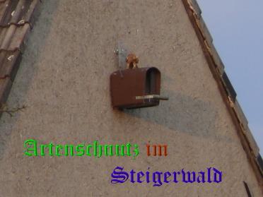 Copyright AiS / Köhler Bild zum Eintrag (29577-160)