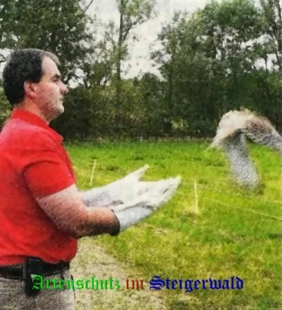 Copyright AiS / 2008 FT German Schneider Bild zum Eintrag (29615-160)