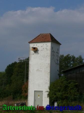 Copyright AiS / 2009 Weidner Bild zum Eintrag (29638-160)