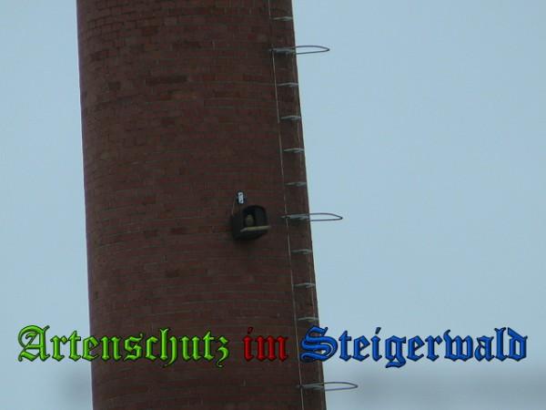 Copyright AiS / 2010 Weidner Bild zum Eintrag (29672-160)