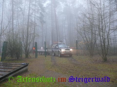 Copyright AiS / 2008 Köhler Bild zum Eintrag (29704-160)