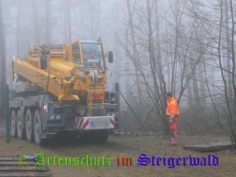 Copyright AiS / 2008 Köhler Bild zum Eintrag (29707-160)