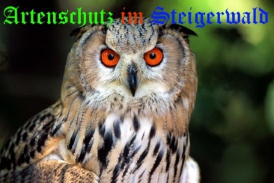 Copyright AiS / 2008 Harald Grunwald Bild zum Eintrag (29712-160)