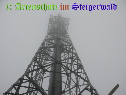 Copyright AiS / 2008 Köhler Bild zum Eintrag (29715-160)