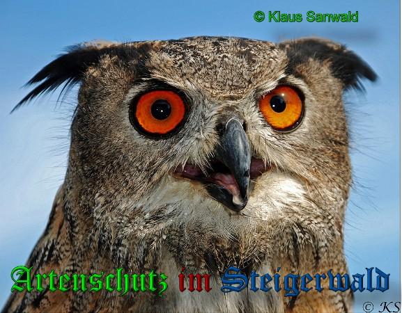 Copyright AiS / 2010 Klaus Sanwald Bild zum Eintrag (29723-160)