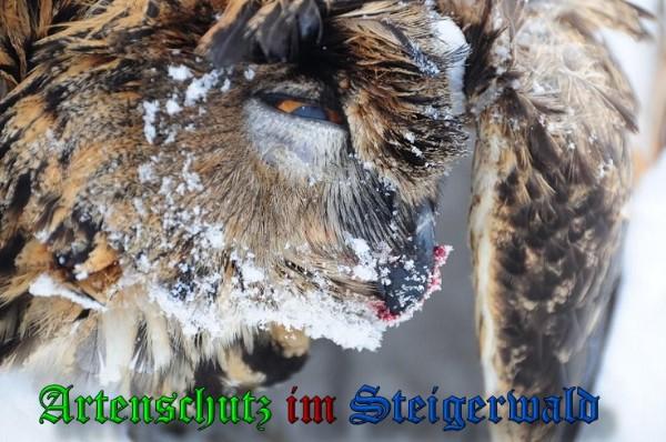 Copyright AiS / 2010 Rother Bild zum Eintrag (29724-160)