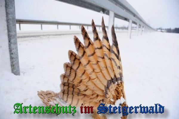 Copyright AiS / 2010 Rother Bild zum Eintrag (29727-160)