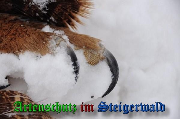 Copyright AiS / 2010 Rother Bild zum Eintrag (29728-160)