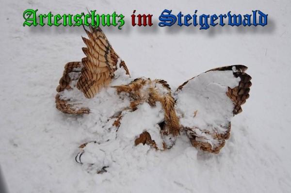 Copyright AiS / 2010 Rother Bild zum Eintrag (29729-160)