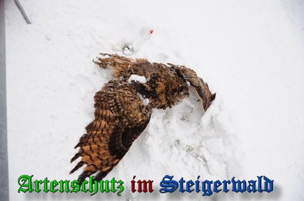 Copyright AiS / 2010 Rother Bild zum Eintrag (29730-160)
