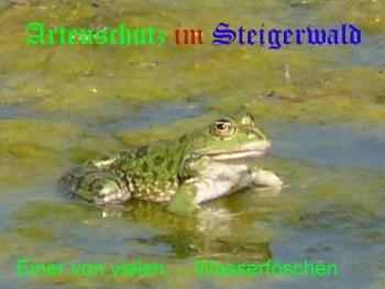 Copyright AiS / M. Köhler Bild zum Eintrag (29748-160)
