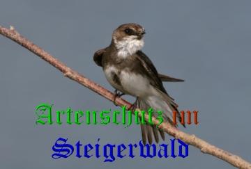 Copyright AiS / Andy Gehrig Bild zum Eintrag (29750-160)