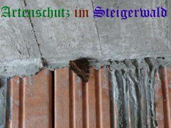 Copyright AiS / Ralf Kraus Bild zum Eintrag (29756-160)