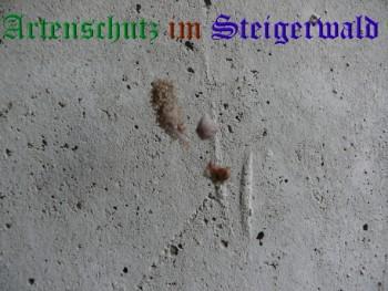 Copyright AiS / Ralf Kraus Bild zum Eintrag (29757-160)