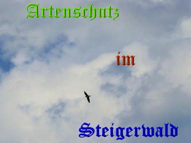 Copyright AiS / Weidner Bild zum Eintrag (29761-160)