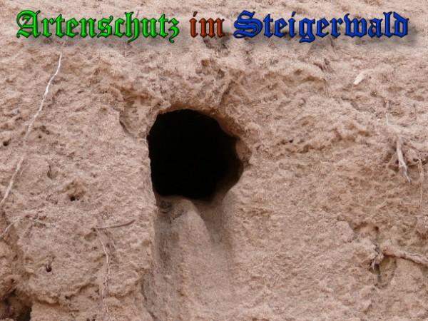 Copyright AiS / 2009 Köhler Bild zum Eintrag (29776-160)