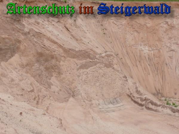 Copyright AiS / 2009 Köhler Bild zum Eintrag (29777-160)
