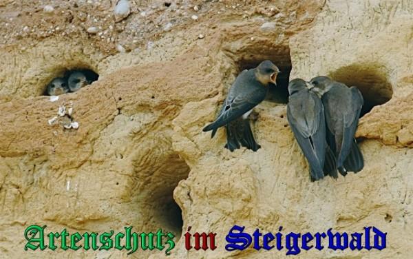Copyright AiS / 2009 Dieter Schuphan Bild zum Eintrag (29784-160)