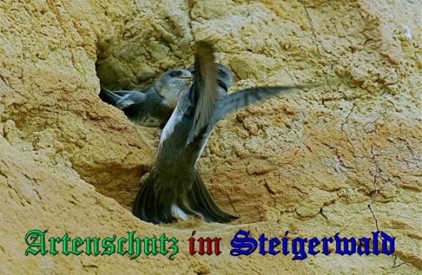 Copyright AiS / 2009 Dieter Schuphan Bild zum Eintrag (29785-160)